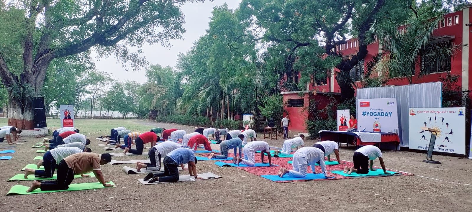 International Yoga Day